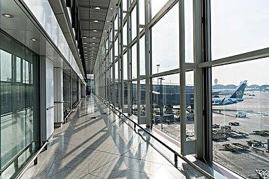 《荒野大镖客2》新高清Mod 让中大型动物更加逼真