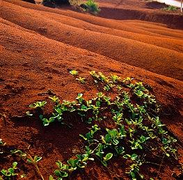 《怪物猎人：荒野》详细预加载和解锁时间公布 主机版率先解锁